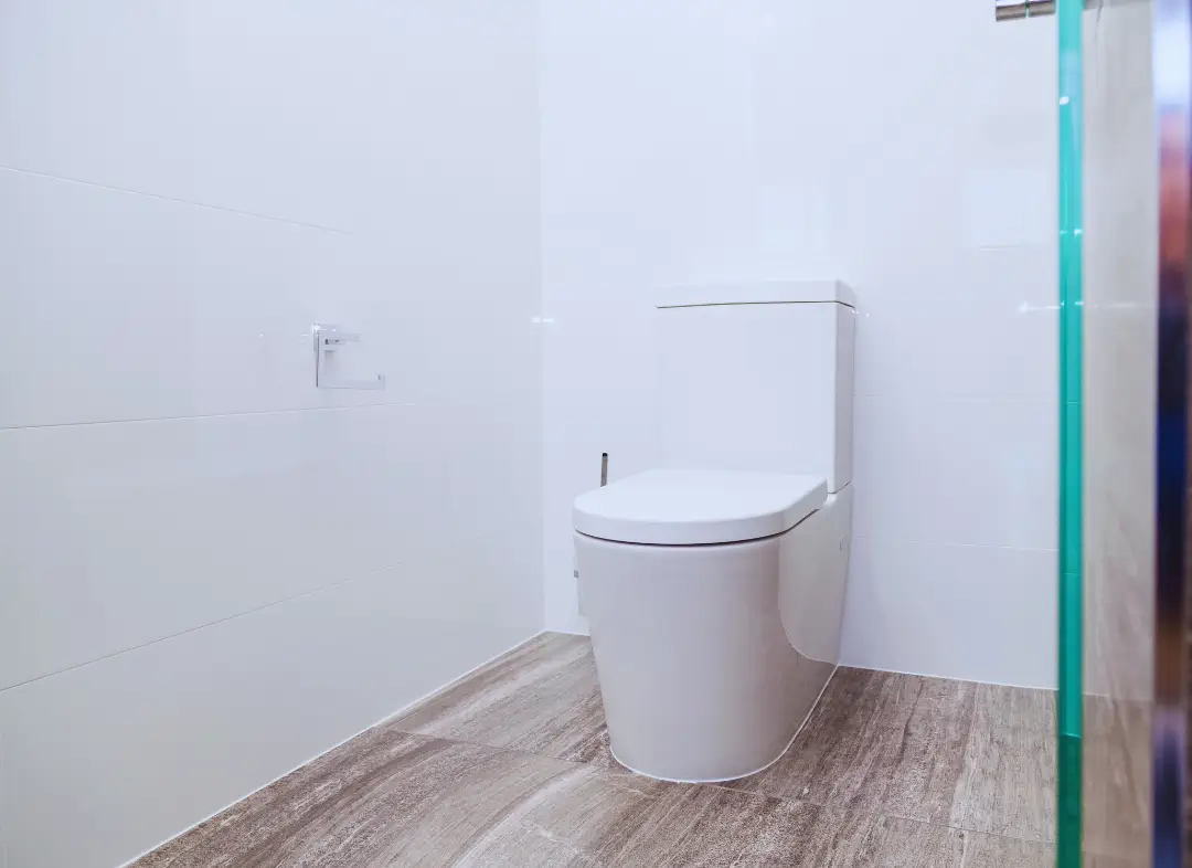 Remplacement de wc Nogent-le-Roi