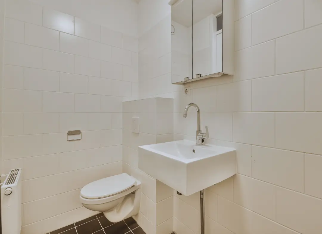 Pose WC Suspendu Nogent-le-Roi